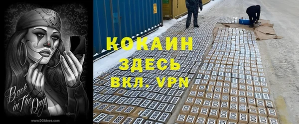 тгк Новозыбков