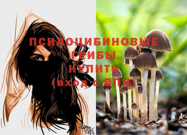 тгк Новозыбков