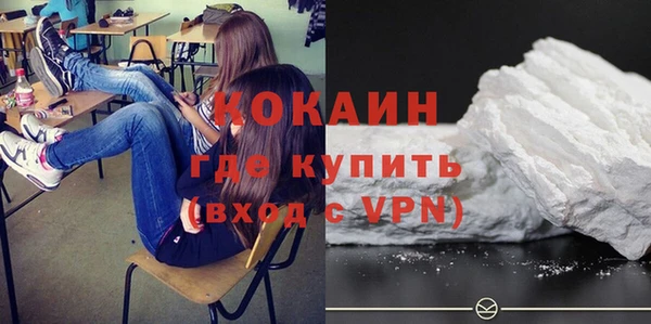 тгк Новозыбков