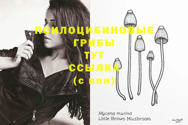 тгк Новозыбков