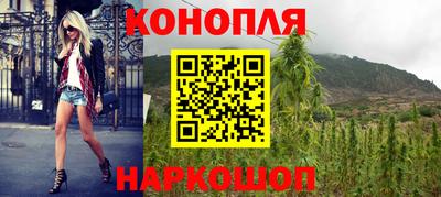 сатива Аргун