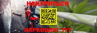 сатива Аргун