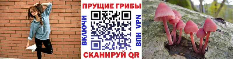 Галлюциногенные грибы Cubensis  Ялта 