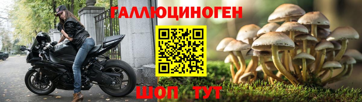 Галлюциногенные грибы мухоморы  Вход с VPN  Ялта 