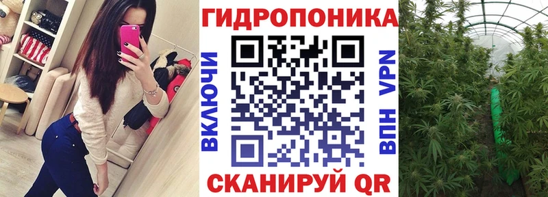 Бошки марихуана сатива  Ялта 